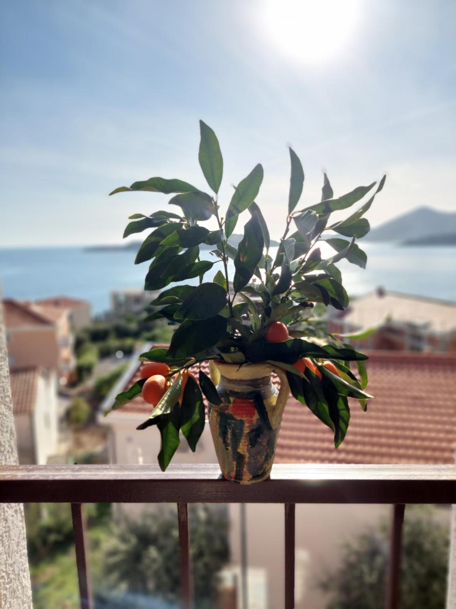 Apartmani Dalex Budva Exterior foto